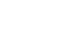 The Flawless Lab White